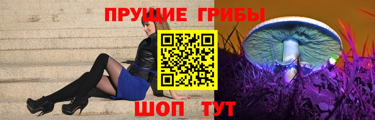 сколько стоит  Псилоцибиновые грибы Psilocybine cubensis  Вход с VPN  Брянск  Псилоцибиновые грибы MAGIC MUSHROOMS 
