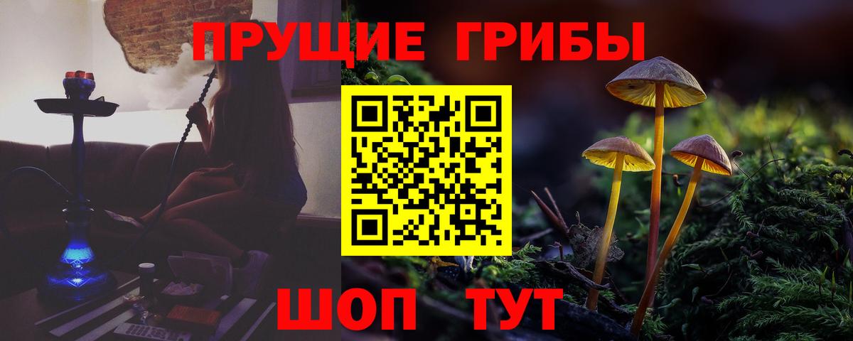Псилоцибиновые грибы прущие грибы Брянск